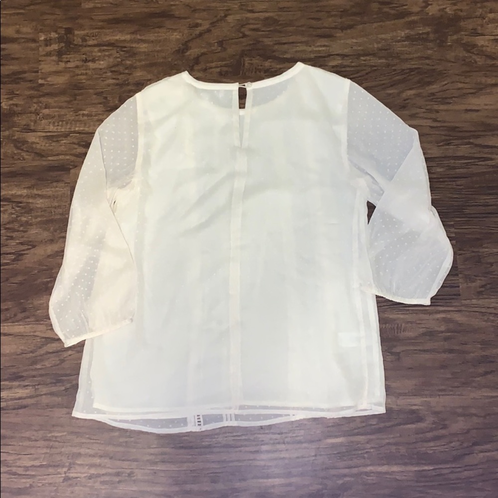 Sheer Ruffle Detail Blouse - Picture 7 of 7